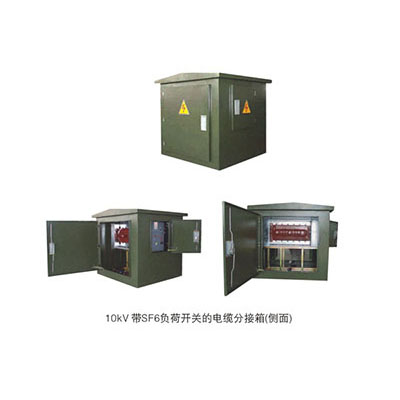 10KV带SF6开关分接箱